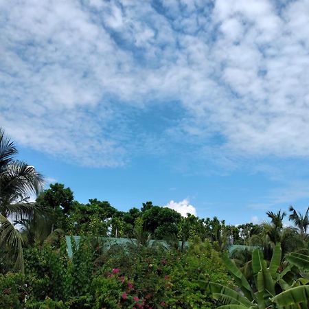 Sunrise Inn Thoddoo Ngoại thất bức ảnh
