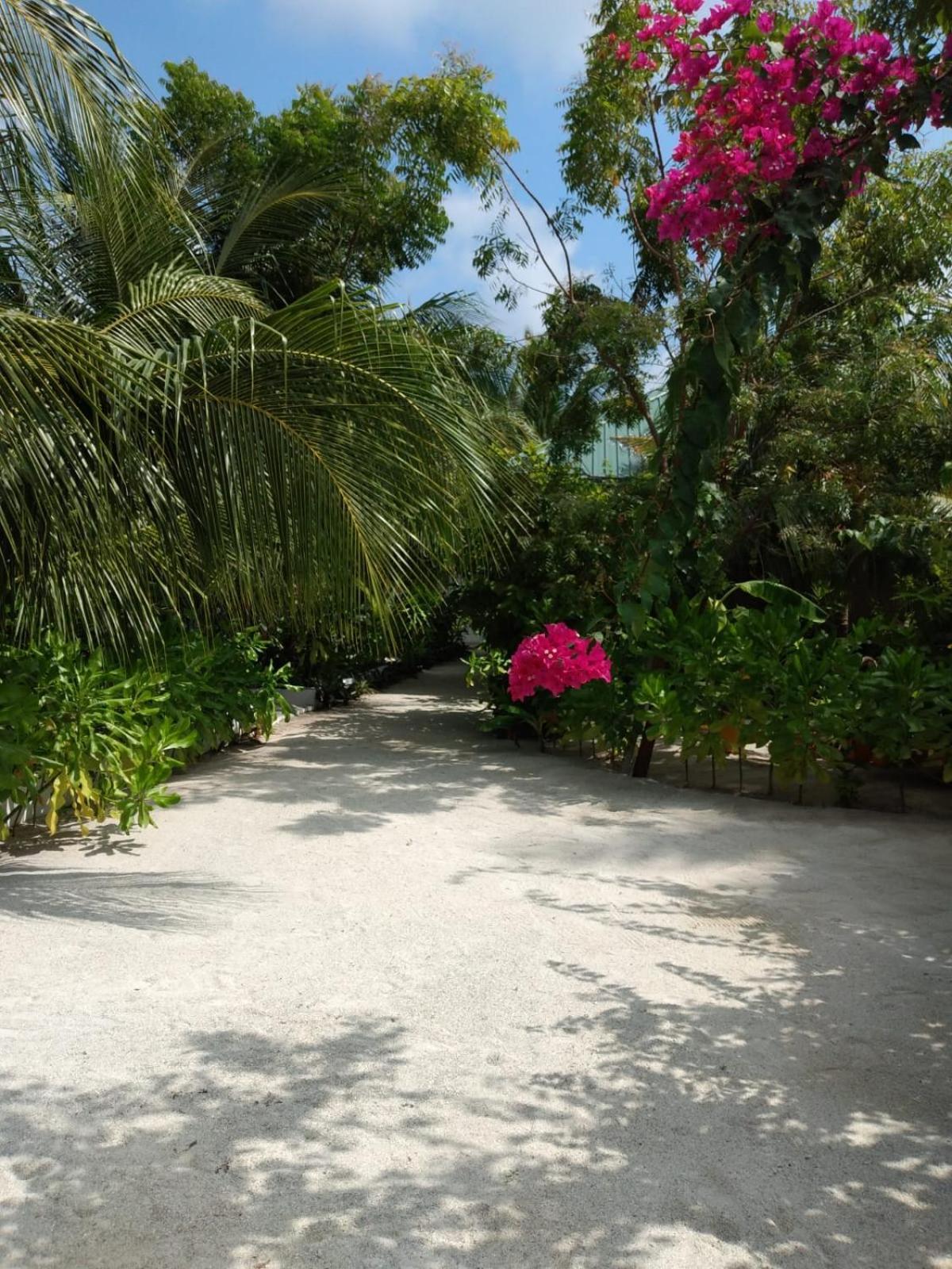 Sunrise Inn Thoddoo Ngoại thất bức ảnh