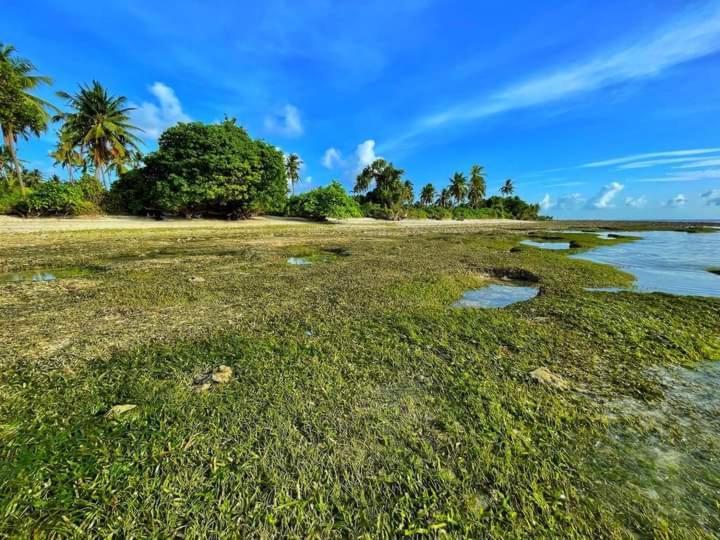 Sunrise Inn Thoddoo Ngoại thất bức ảnh