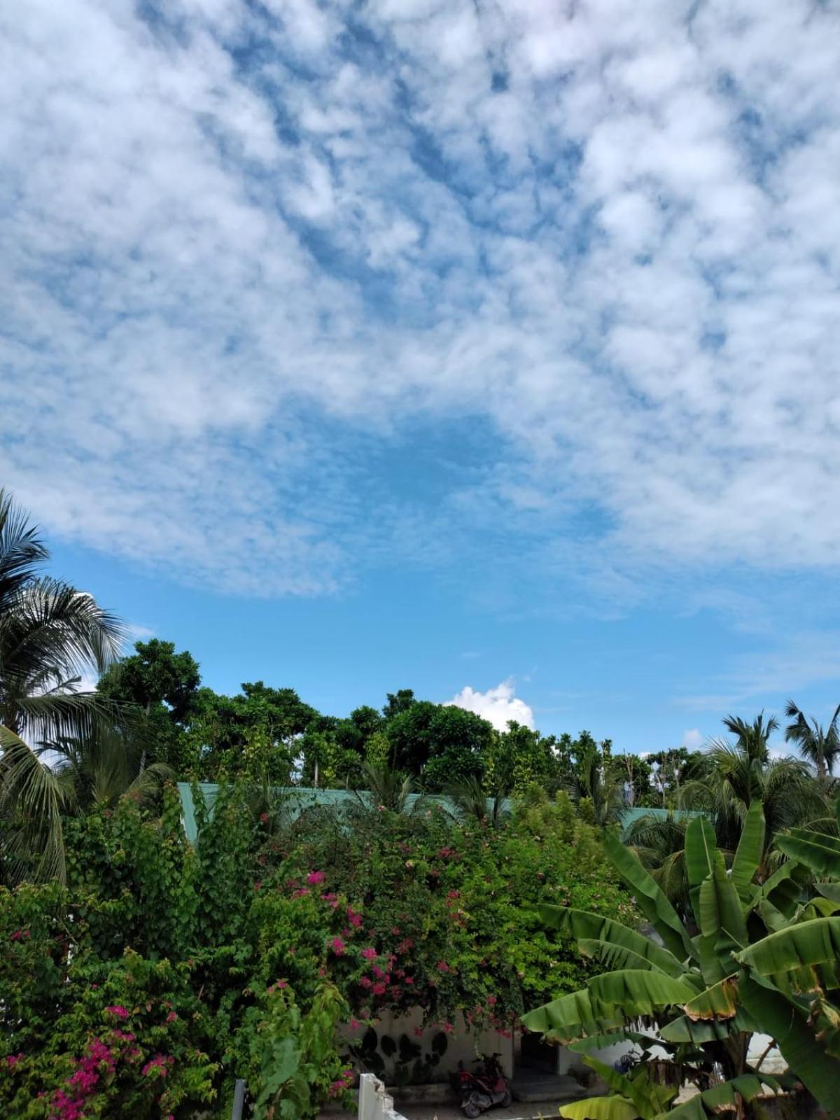 Sunrise Inn Thoddoo Ngoại thất bức ảnh
