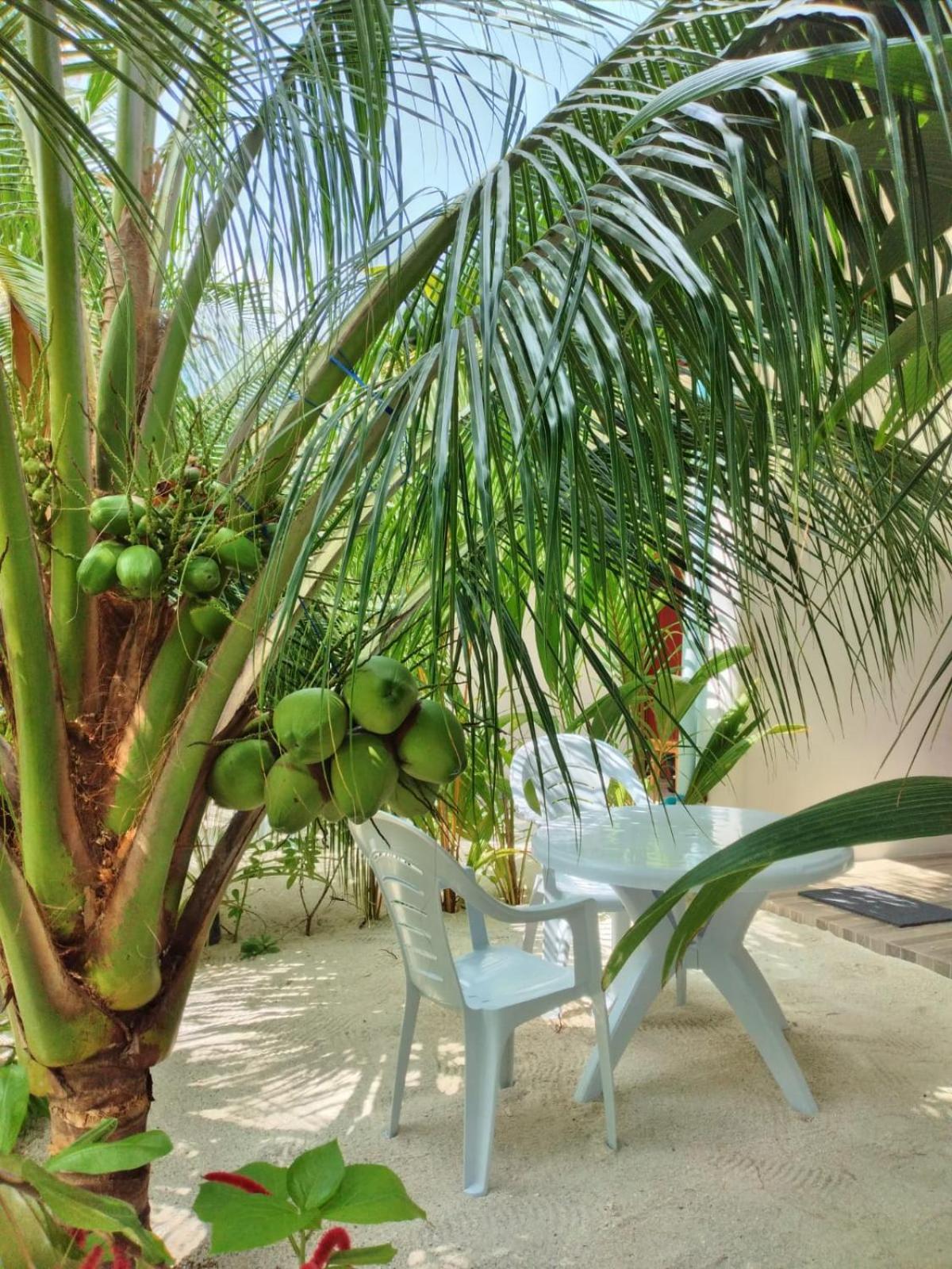 Sunrise Inn Thoddoo Ngoại thất bức ảnh
