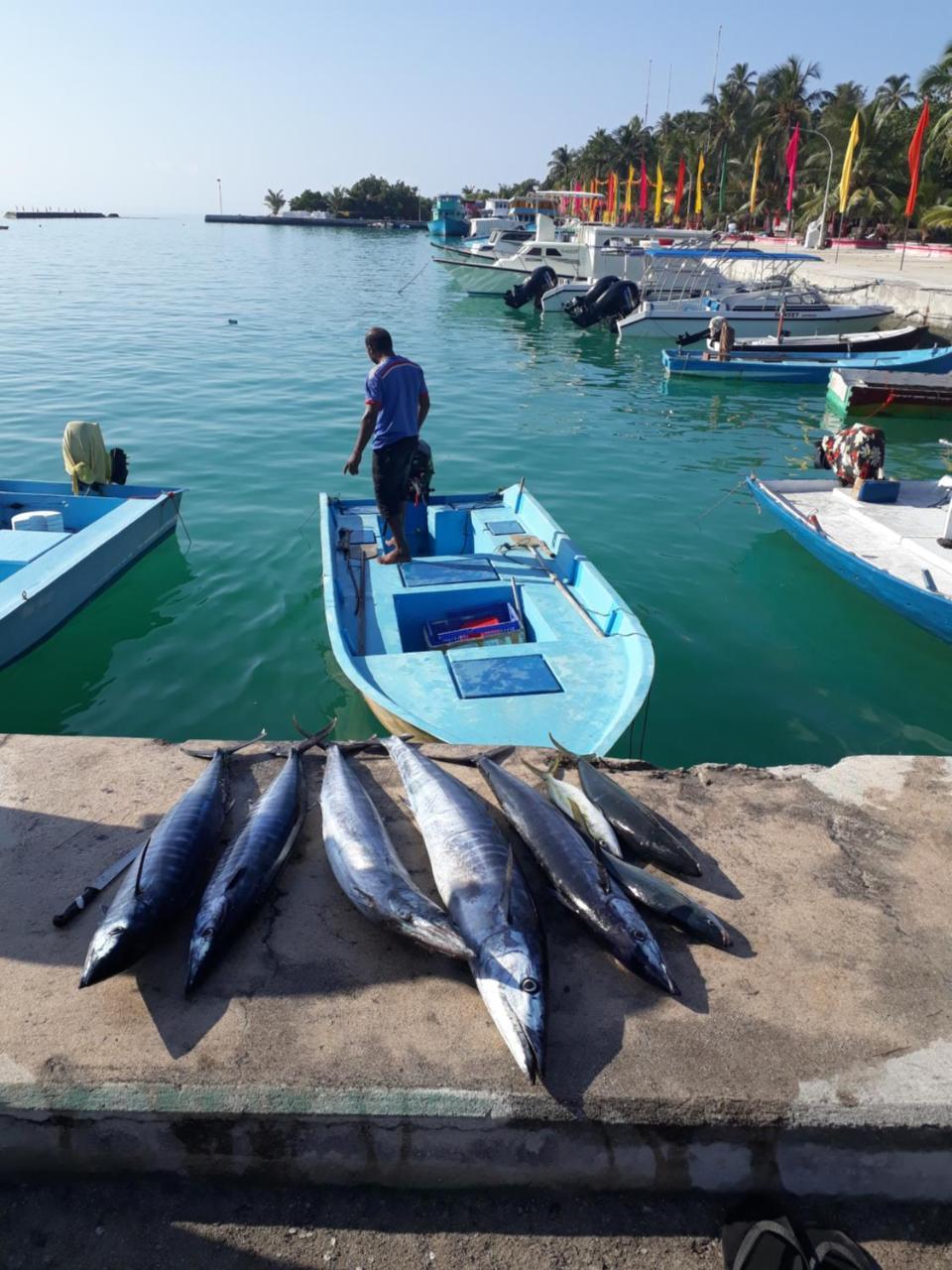 Sunrise Inn Thoddoo Ngoại thất bức ảnh
